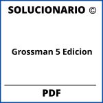 Solucionario Grossman 5 Edicion Pdf