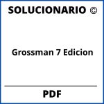 Solucionario Grossman 7 Edicion Pdf